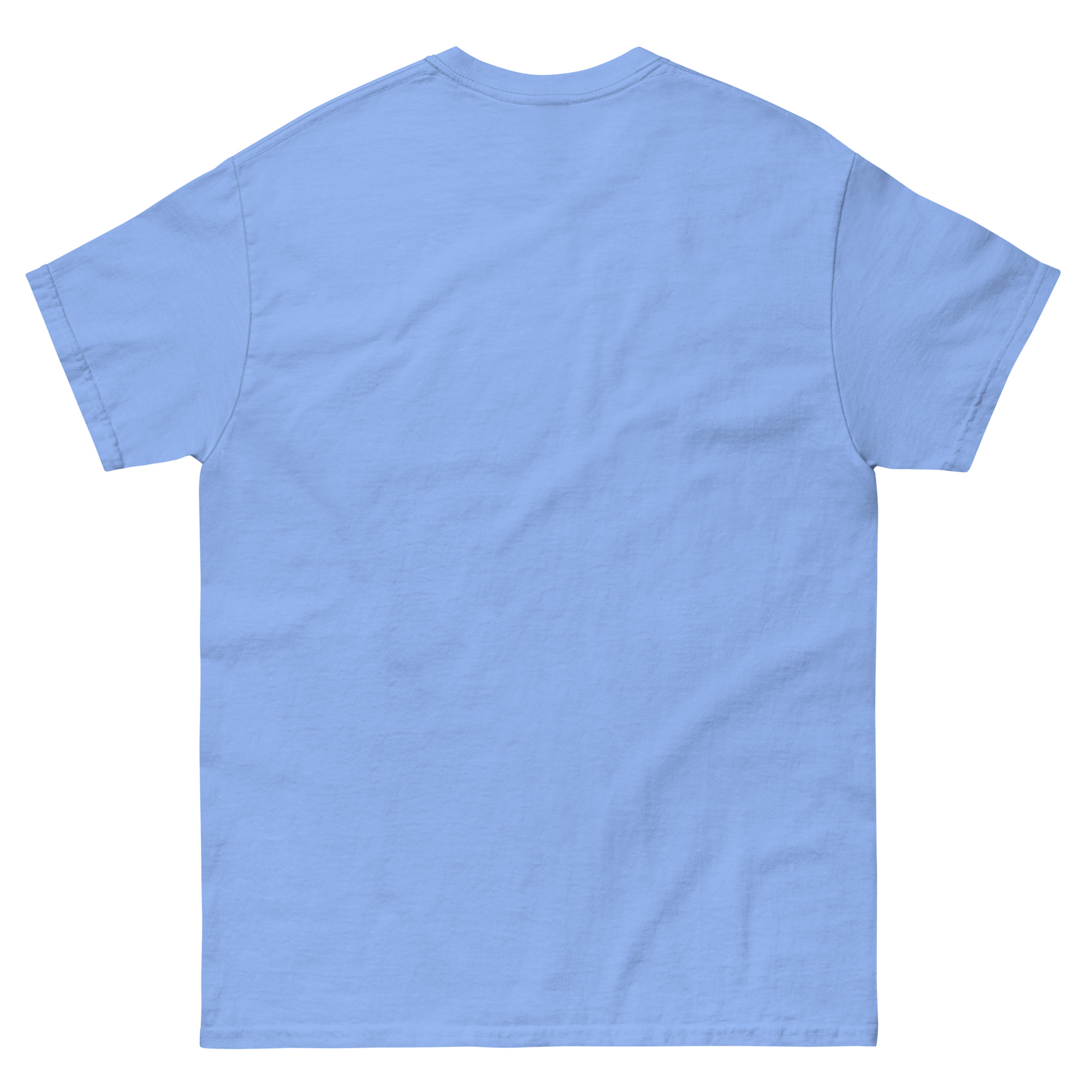 mens-classic-tee-carolina-blue-back-6630b0a16ff4d.jpg