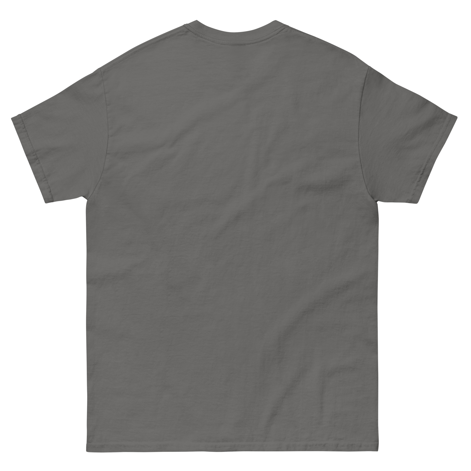 mens-classic-tee-charcoal-back-6630b5e9e0e88.jpg